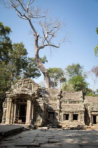 One of the Amazing Temples We Visited